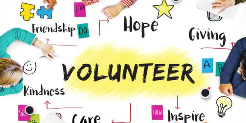The Role of Volunteer Data Analysts